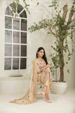 Tawakkal fabrics Ritzier Lawn Designer Suits - 1371